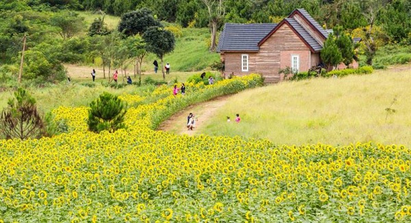 da lat Milk Farm - Những địa điểm du lịch mới Đà Lạt được giới trẻ "phát cuồng"